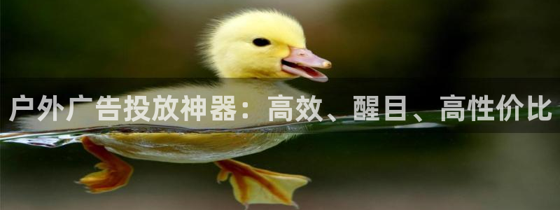 杏宇平台代理多少钱一次
