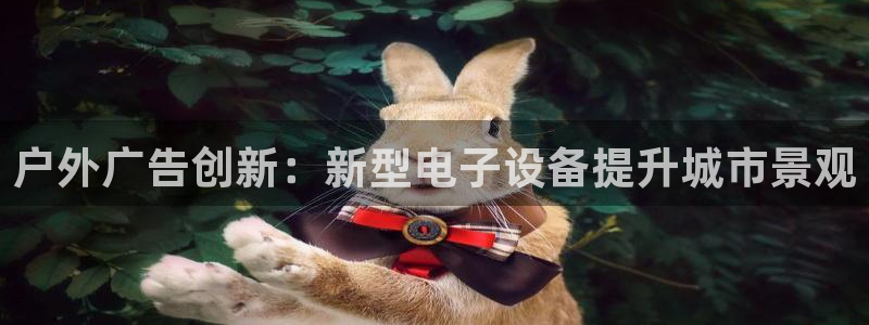 杏宇平台开户