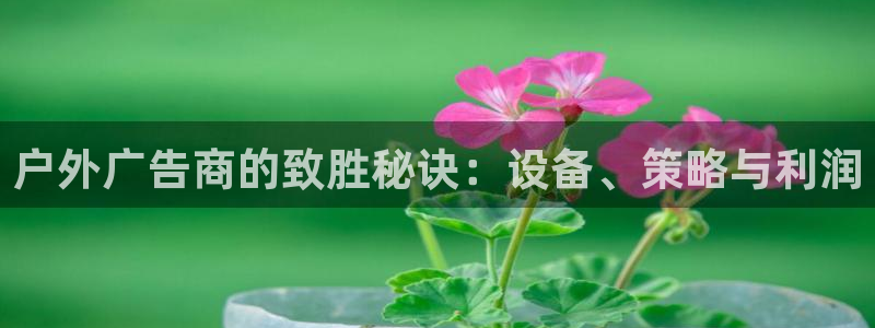杏宇官方平台官网