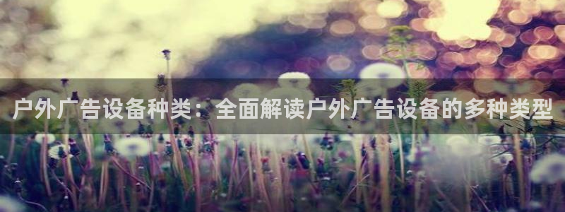 杏宇平台总代理