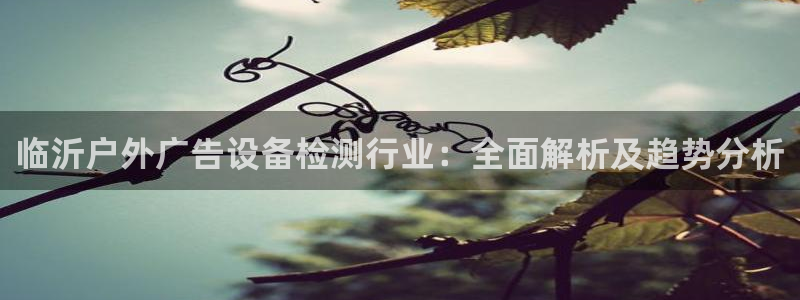 杏宇平台注册地址