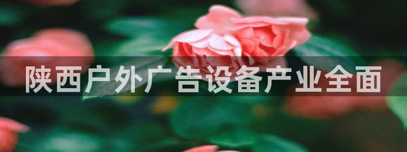 杏宇平台代理怎么赚钱快
