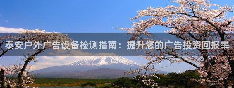 杏宇平台登录步骤是什么