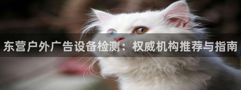 杏宇平台怎么样知乎