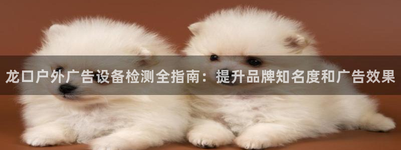 杏宇平台总代理电话
