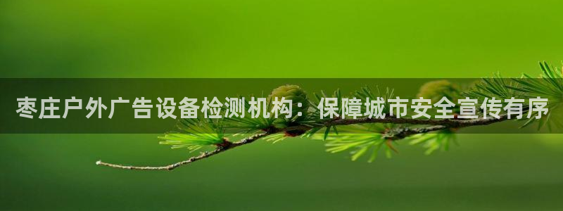杏宇官方平台官网入口