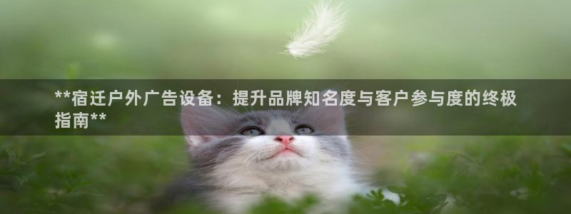 杏宇平台代理怎么样可靠吗