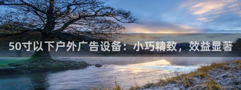杏宇平台怎么样