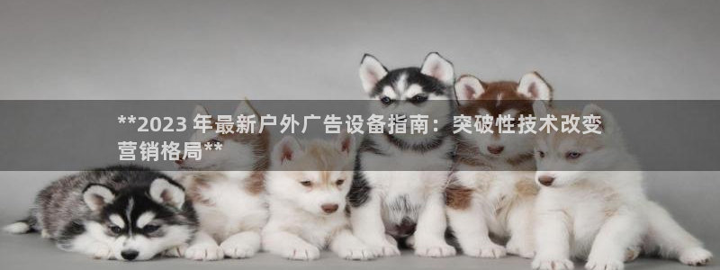 杏宇平台总代理电话