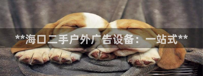 杏宇官方平台官网入口