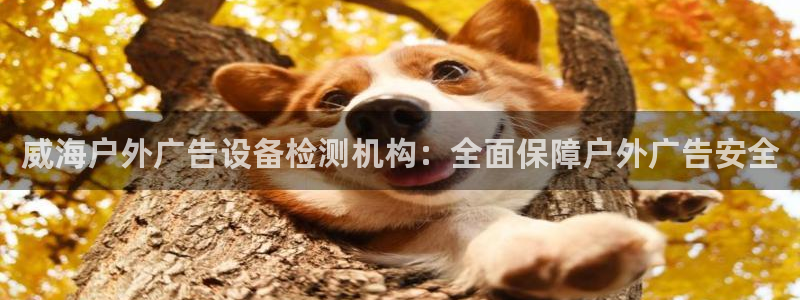 杏宇平台怎么样赚钱：威海户外广告设备检测
