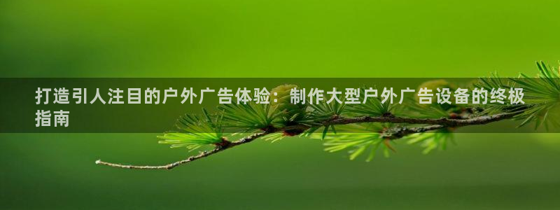 杏宇平台代理怎么赚钱：打造引人注目的户外
