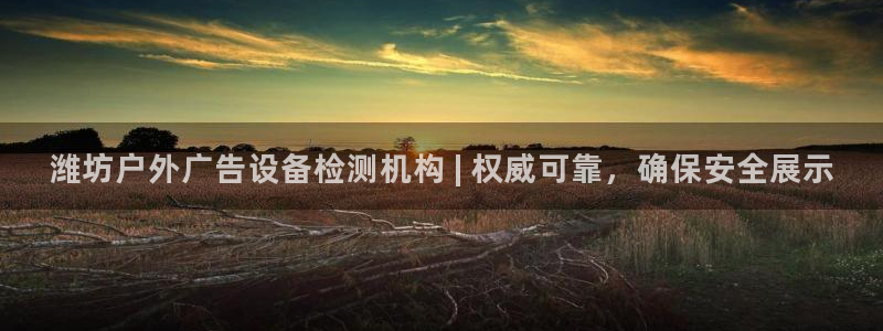 杏宇官方平台官网入口：潍坊户外广告设备检