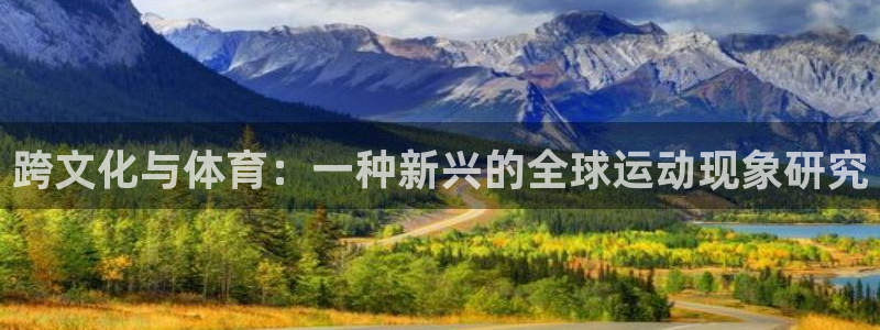 必一运动体育官网