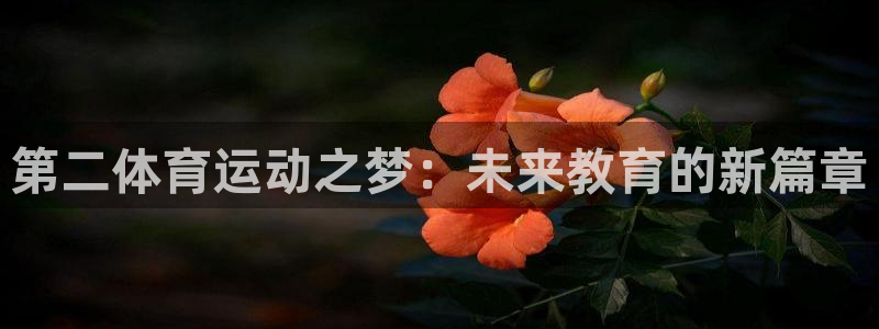 必一运动体育官网