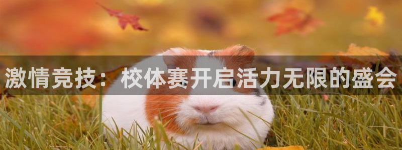 bsports必一运动