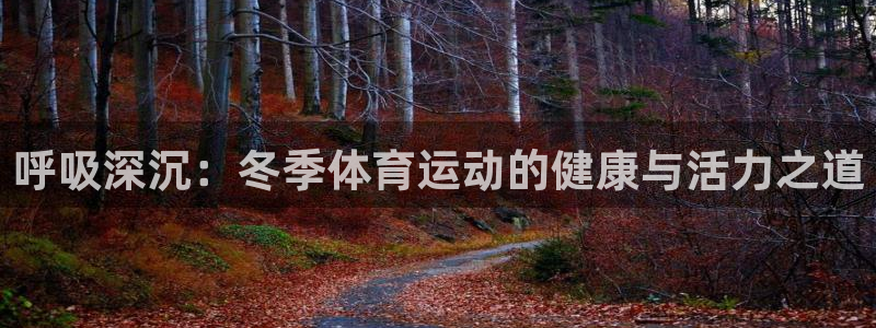 bsports必一运动