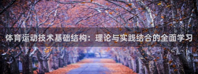 b体育必一运动官网