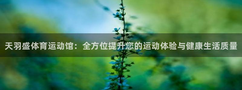 bsports官网 必一运动