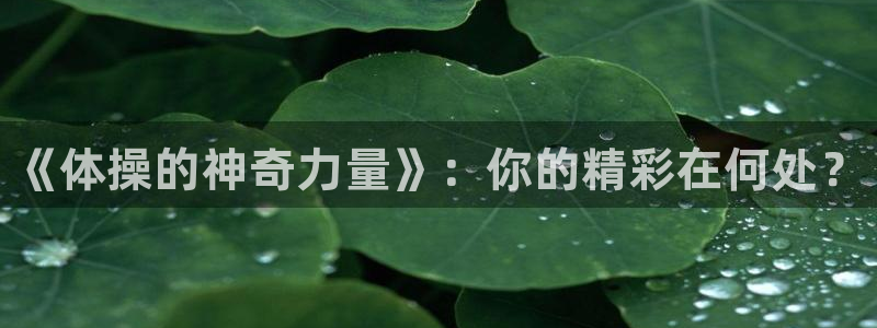 bsports必一运动