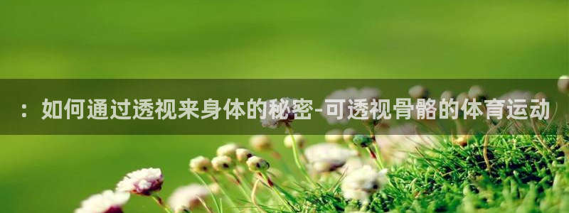 必一运动体育官网入口