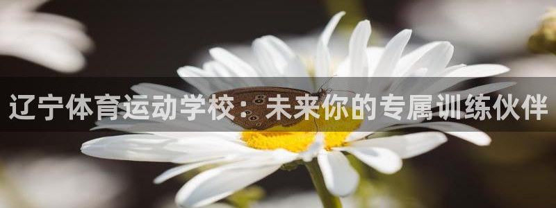bsports必一运动