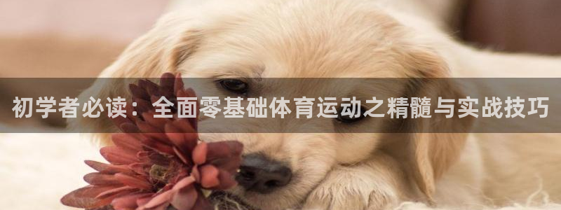 必一运动