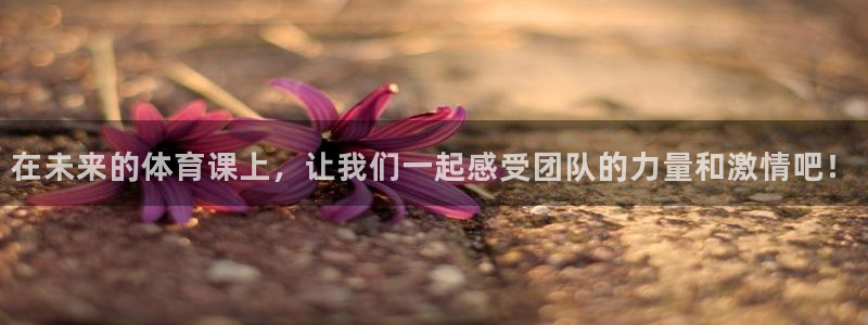 b体育必一运动官网