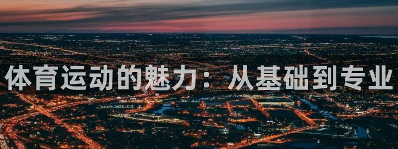必一运动体育官网入口