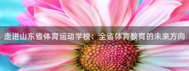 必一运动官网入口