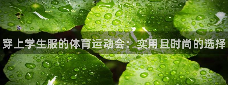 必一运动bsport体育