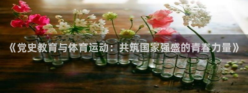 必一运动体育官网