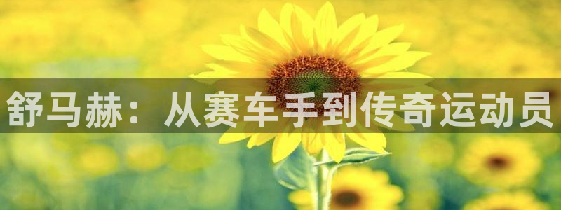 必一运动体育
