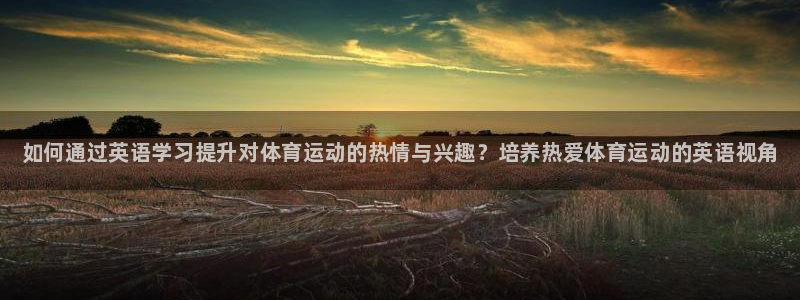 必一运动体育官网入口
