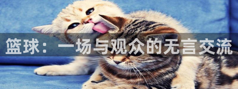 必一运动体育官网入口