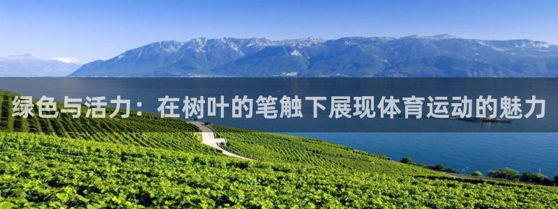 必一运动bsport体育