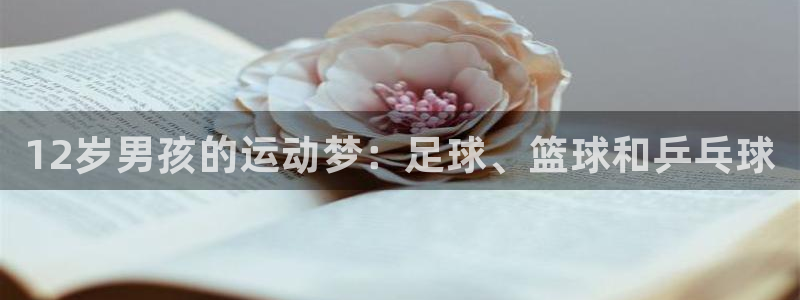 必一运动体育官网
