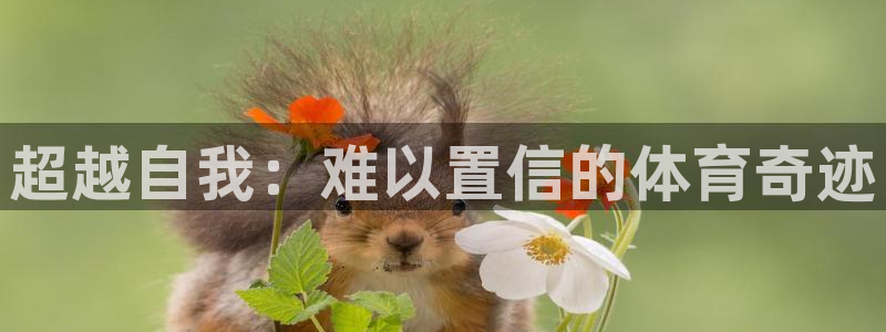 bsports必一运动