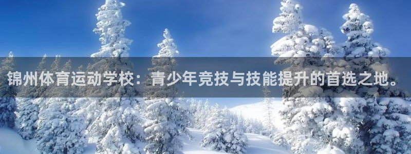 必一运动体育官网