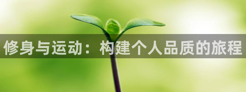 必一运动体育官网入口