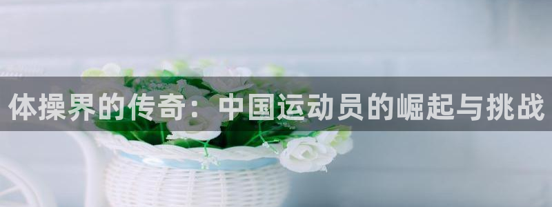 bsports必一运动